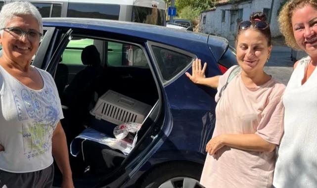 İzmir Narlıdere’de minik dostlar için seferberlik