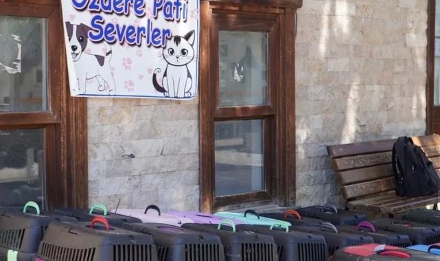 İzmir’de 7 bin kediye mobil kısırlaştırma