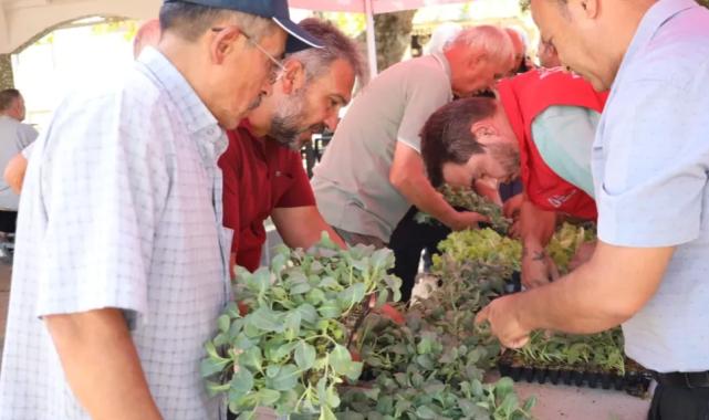 İzmit’te başlayan fide desteği, Gebze köylerine ulaştı