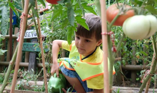 Kocaeli’de Lokomotif Çocuk Köyü’nde hasat sevinci