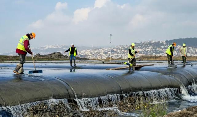 Körfez’de çamur gidiyor, yeni canlılar geliyor