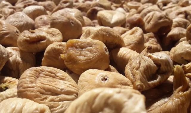 Kuru incirin gıda güvenliği için 19 bin kerevet dağıtıldı