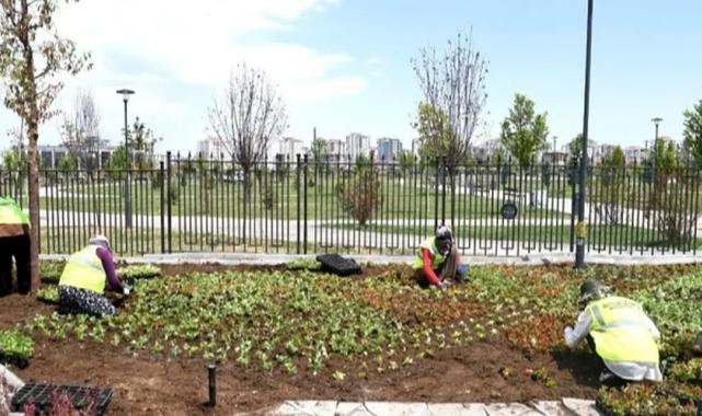 Malatya çiçek bahçesine döndü