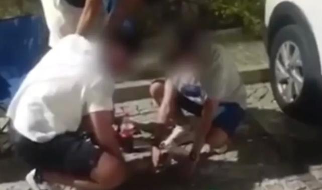 Mudanya Zabıtası çevreyi kirleten gençlere çöp toplattı, ceza kesti!