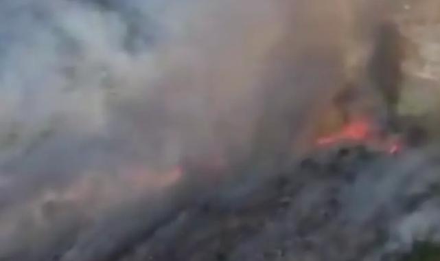 Muğla Seydikemer’de orman yangını