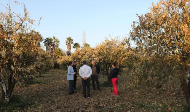 Muğla’da tarımın geleceği alarm veriyor… MUPA’dan sürdürülebilirlik raporu