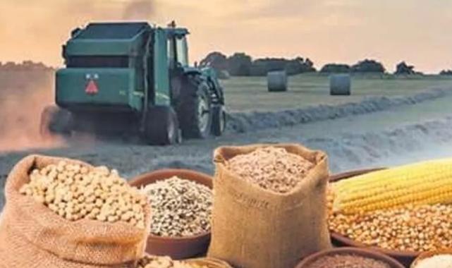 Tarımsal ürün fiyatları ve endekslerde yükseliş