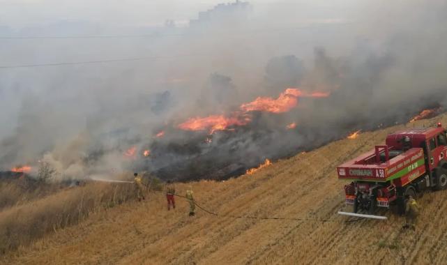 Türkiye 2025 yazında yangınlarla mücadele ediyor… 64 bin 500 hektar alan zarar gördü