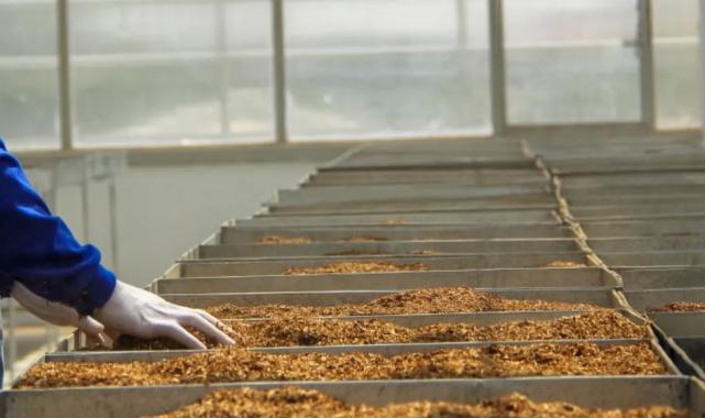 Tütün mamulleri üretim ve ticaretine yeni ayar