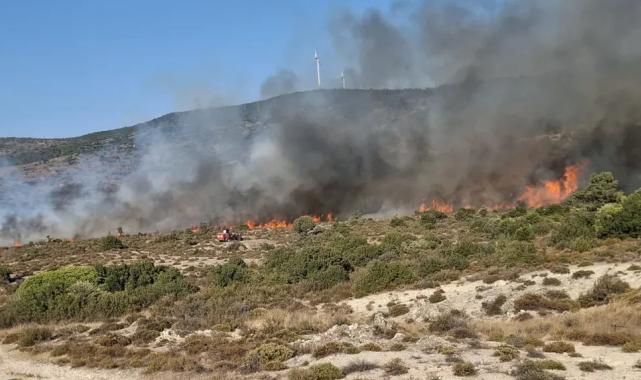Urla yangını kontrol altına alındı