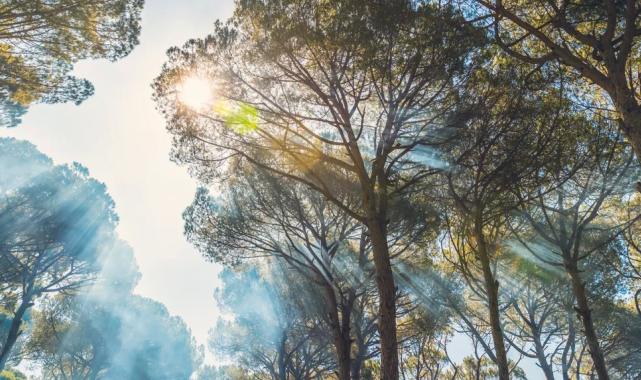 Yangın riskine karşı tatilde nasıl davranmalıyız?