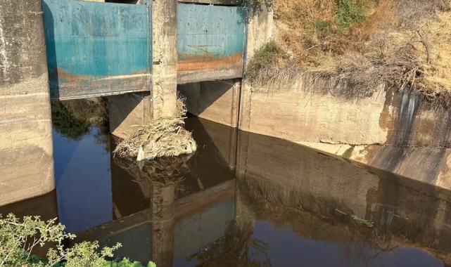 Zabıta affetmedi, doğayı kirletene kesti cezayı