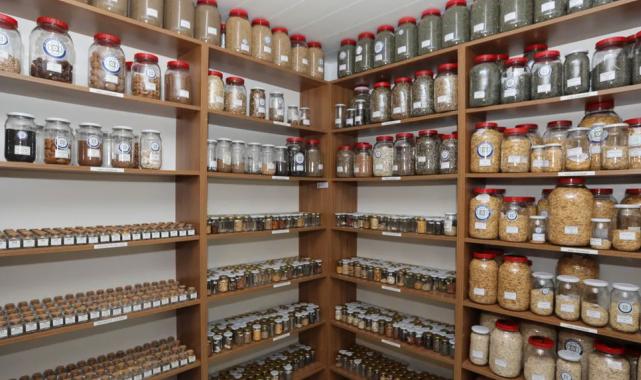 2026 yılında hedef 4 milyon yerel tohum