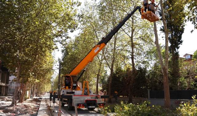 Alikahya Tramvay Hattı için ağaçlara itinalı budama