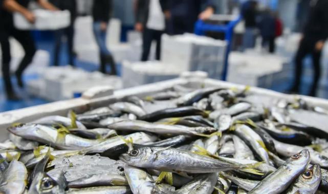 Ankara’da balık sezonu başladı, denetimler sıklaştı