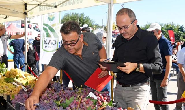 Bursa’da en kaliteli üzümler Osmangazi’de yarıştı