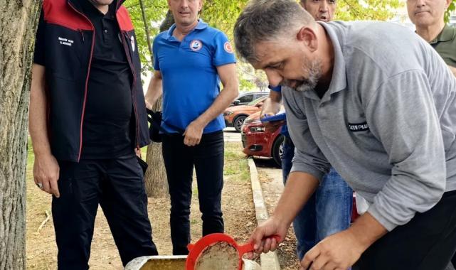 Bursa’nın su kaynaklarına 2,2 milyon sazan balığı bırakılacak