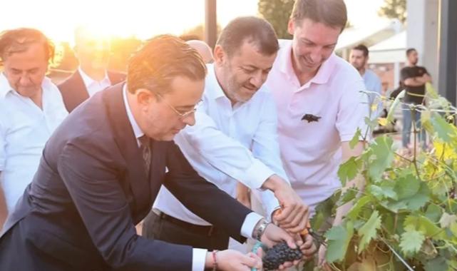 Çal Bağbozumu Festivali kültürle renklendi