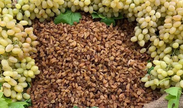 Çekirdeksiz ihracatta Türkiye ‘en’leri yaşadı