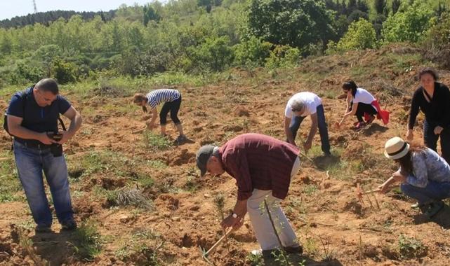 ÇEKÜL’den ‘acele etmeyin’ uyarısı! Yanan bölgelerde fidan dikimi için acele edilmemeli!
