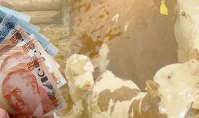 Çiftçilere müjde: 4,5 milyar TL destek hesaplarda