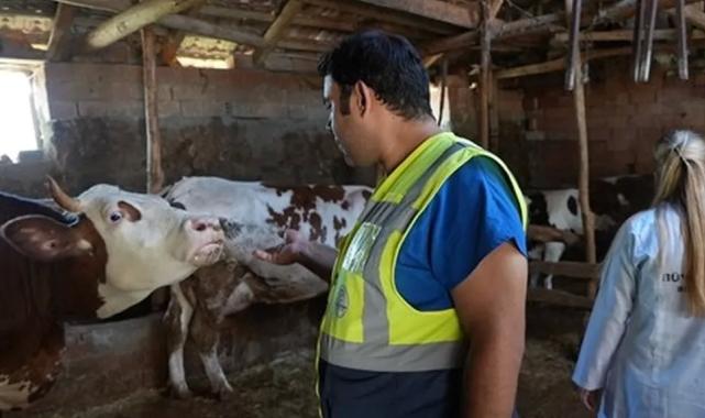 Denizli Büyükşehir’den üreticilere ücretsiz veterinerlik desteği