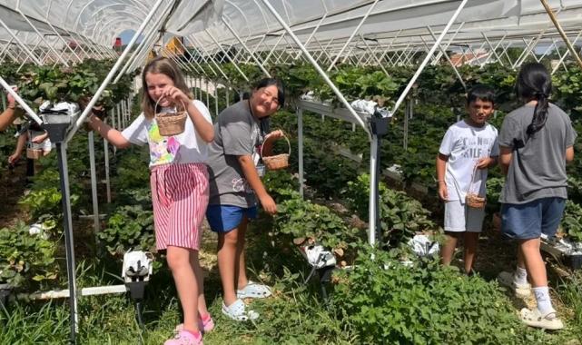 Doğanın kalbinde bir yaz masalı