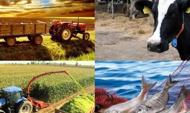 Hayvancılık destekleme miktarlarında artış! Çoban desteği ve aşı bedelleri de kapsamda