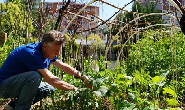 İstanbul Maltepe’de altın yıllara yeşil bir nefes