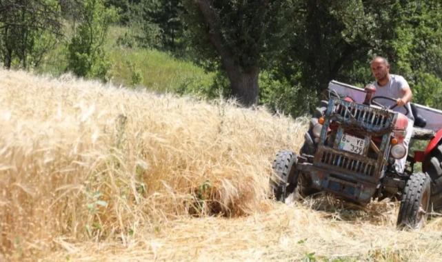 İstanbul’dan Ordu’ya uzanan çiftçilik hikayesi