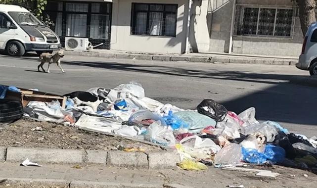 İzmir Buca’da çöp krizi! Mahalleler çöplüğe döndü, vatandaşlar isyanda