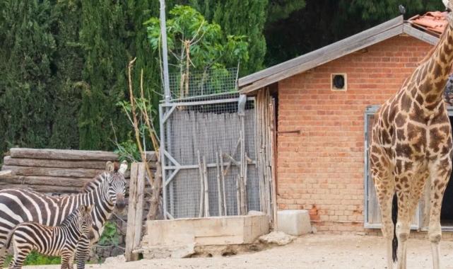 İzmir Doğal Yaşam Parkı’na ‘kış’ ayarı