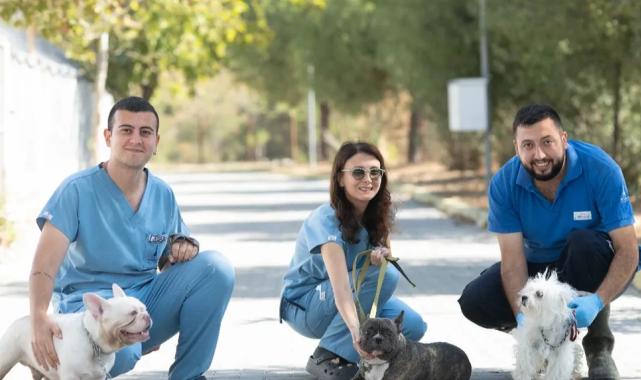 İzmir’de el konulan 20 cins köpek sahiplendirilecek