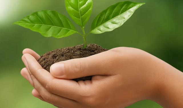 İzocam’dan ‘Sürdürülebilirlik Raporu’