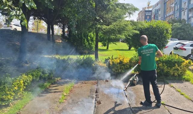 Kocaeli’de vektörle mücadeleye güçlü destek