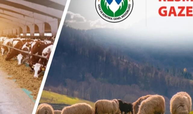 Koyun ve Keçi Yönetmeliği’nde değişiklik… Taahhütname uygulaması kaldırıldı