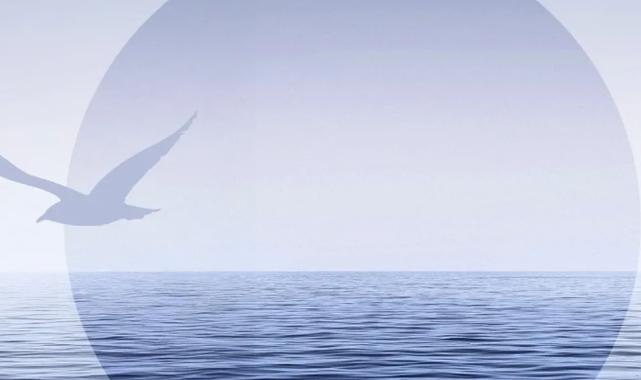 Mudanya 1. Fotoğraf Günleri başlıyor