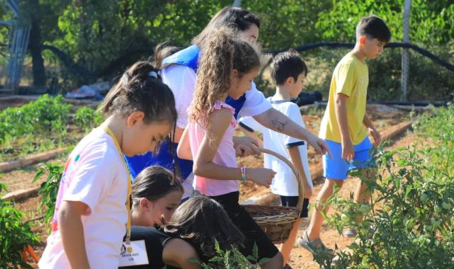 Muğla’da minik eller hasat sevinci yaşadı