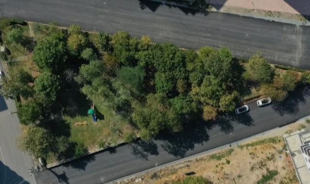 Ordu Büyükşehir’den Fatsa’ya asfalt hamlesi