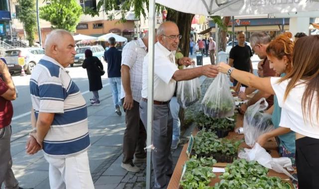 Ordu’da kışlık sebze atağı: 200 bin fide üreticiyle buluşuyor
