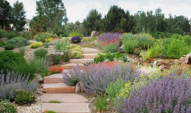 PEYZAJDER: Kuraklık peyzaj anlayışını değiştiriyor