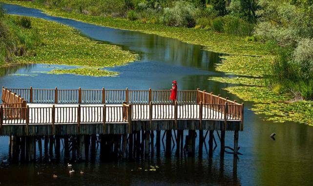 Sakarya 2026’da Kültür Yolu’na ev sahipliği yapacak