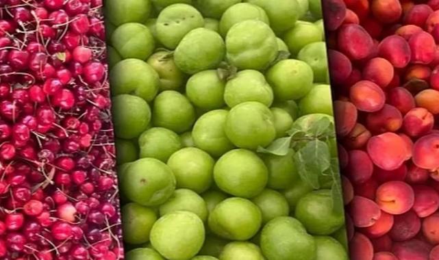 Tarım ÜFE aylık azaldı, yıllık arttı! En yüksek artış yumuşak ve sert çekirdekli meyvelerde