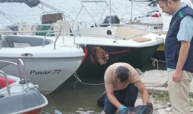 Yalova’da denizi kirleten iki belediyeye ‘Çevre’ cezası