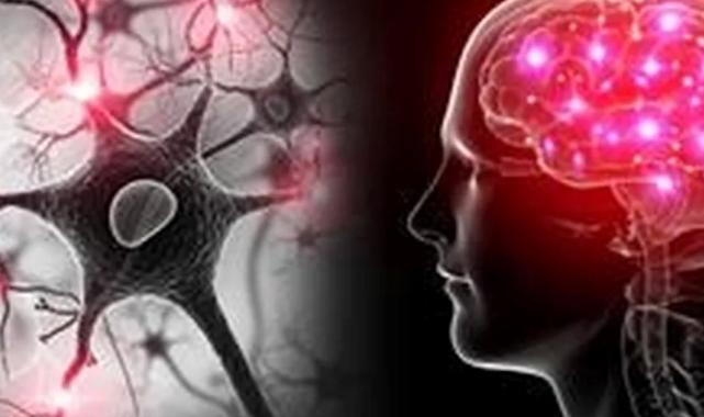 Yapay zekâ ve EEG ile otizm ve dislekside erken teşhis umudu