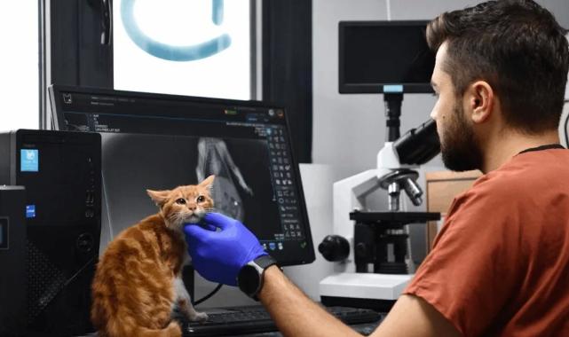 Balıkesir Büyükşehir’den can dostlara tam destek