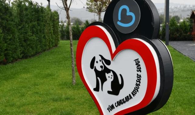 Balıkesir’de can dostlar Büyükşehir eliyle güvende