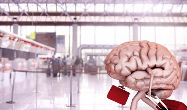 Beyin göçü durmadı! Her 50 üniversite mezunundan biri yurt dışında!