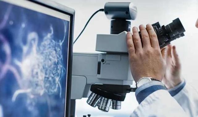 Bilimsel araştırma geliştirme hizmetleri revaçta