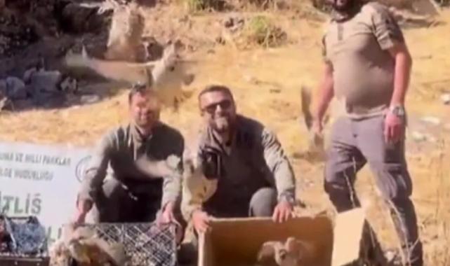 Bitlis’te keklik ticaretine darbe! 90 kınalı keklik doğaya salındı